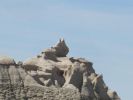 PICTURES/Bisti Badlands in De-Na-Zin Wilderness/t_Bunny Ears1.jpg